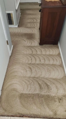 carpet-cleaning-san-antonio-tx