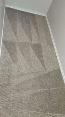 angel-stamer-cleaning-carpet